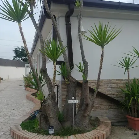 Dream Bed & Breakfast Foggia